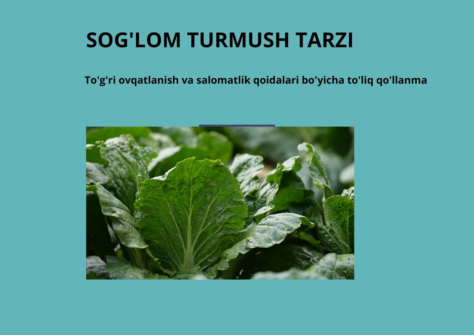 sogʻlom turmush tarzi va toʻgʻri ovqatlanish 1