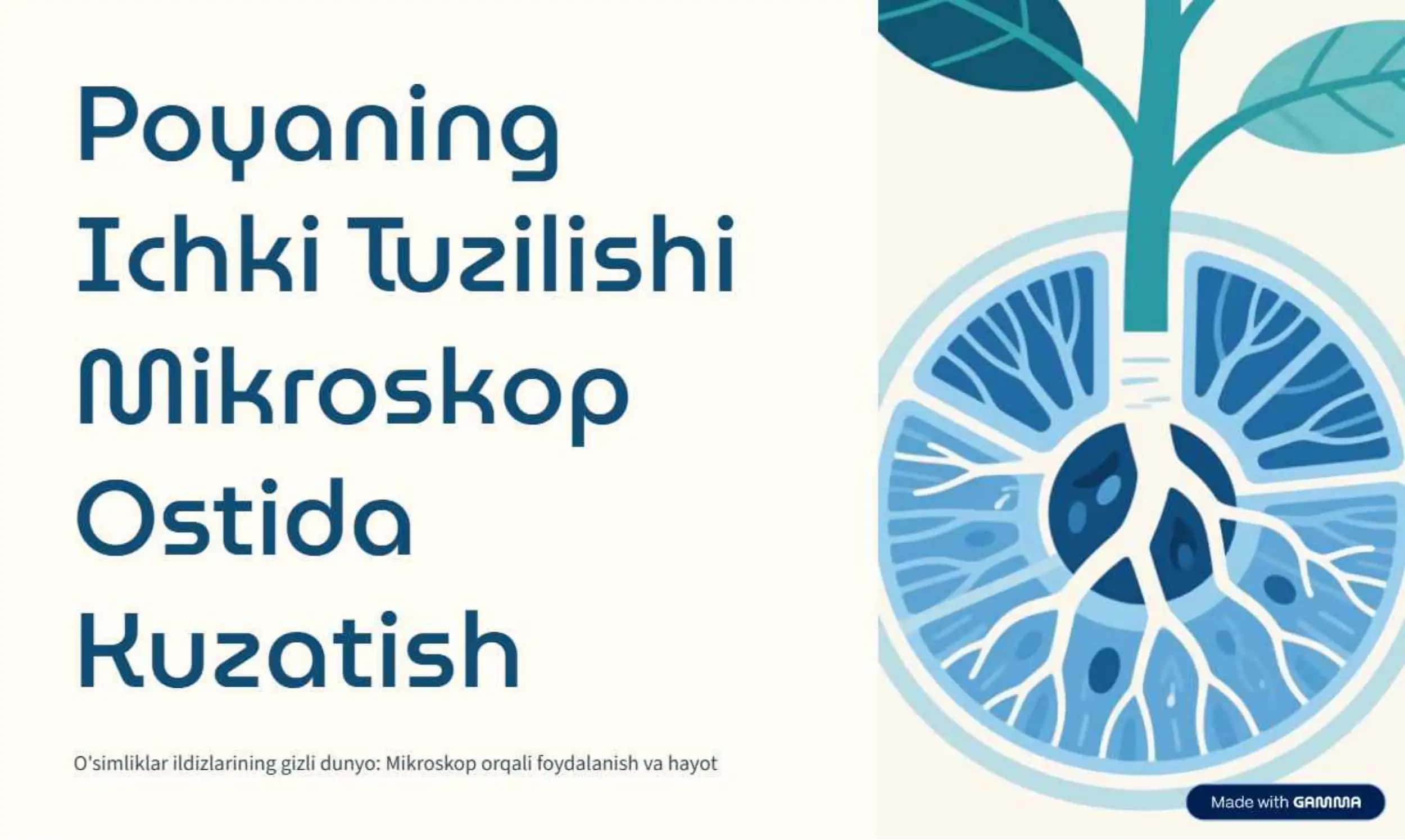 Poyaning Ichki Tuzilishi 1