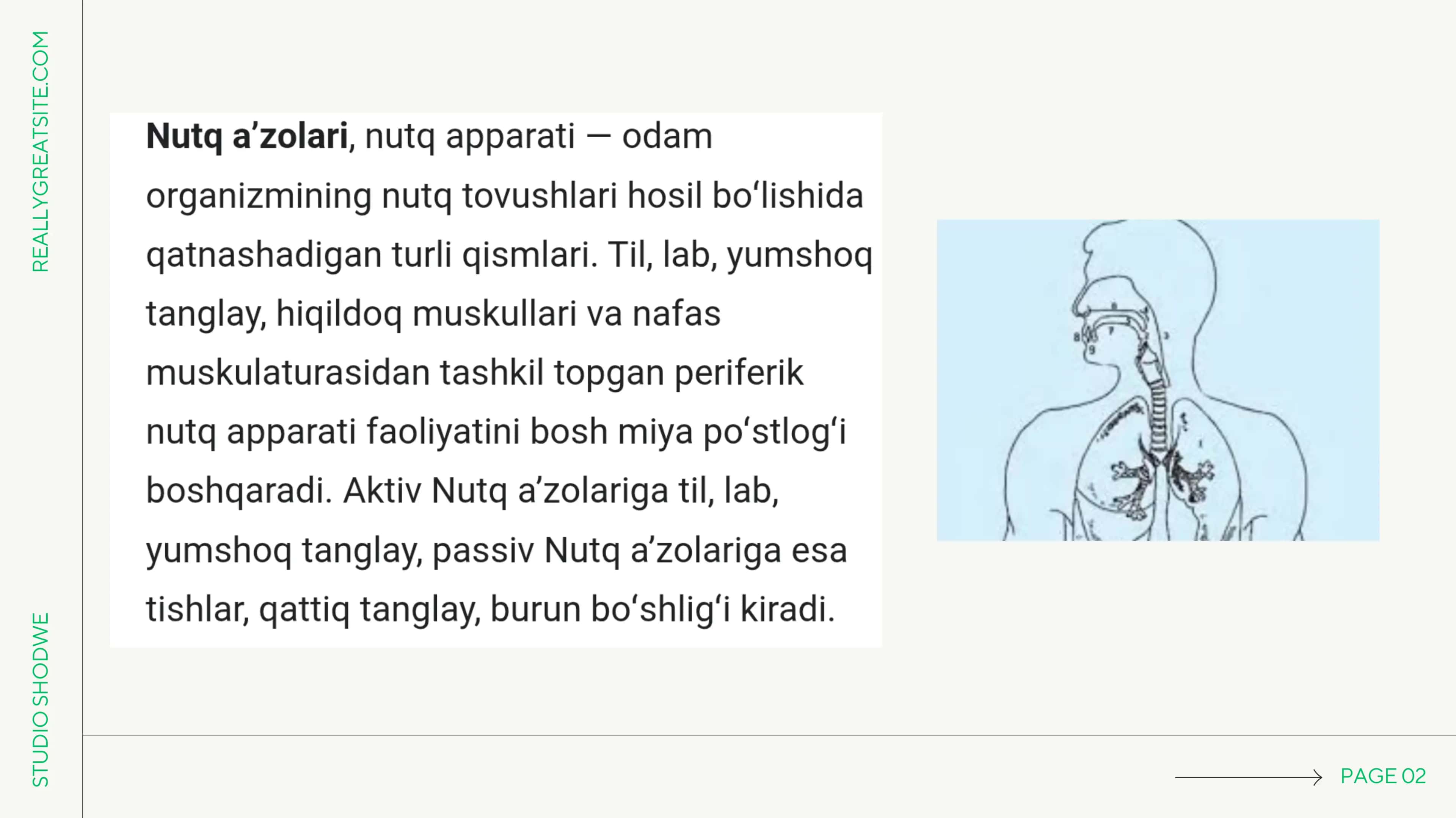 Nutq apparati a'zolari bilan tanishish 2
