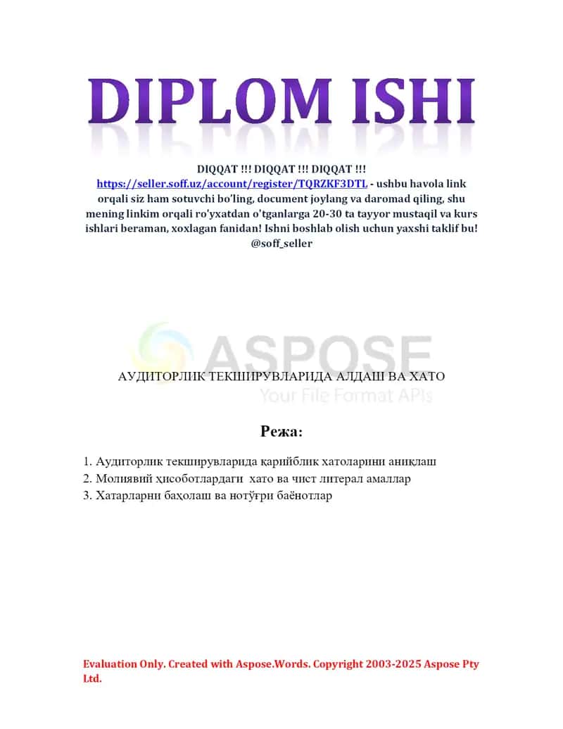 Auditorlik tekshiruvlarida aldash va xato 2