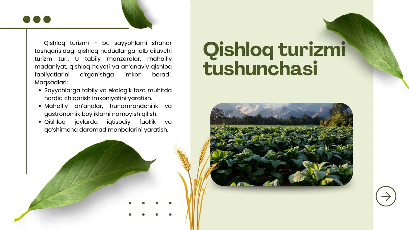 Mintaqalarda qishloq turizmini rivojlantirish resurslari 2