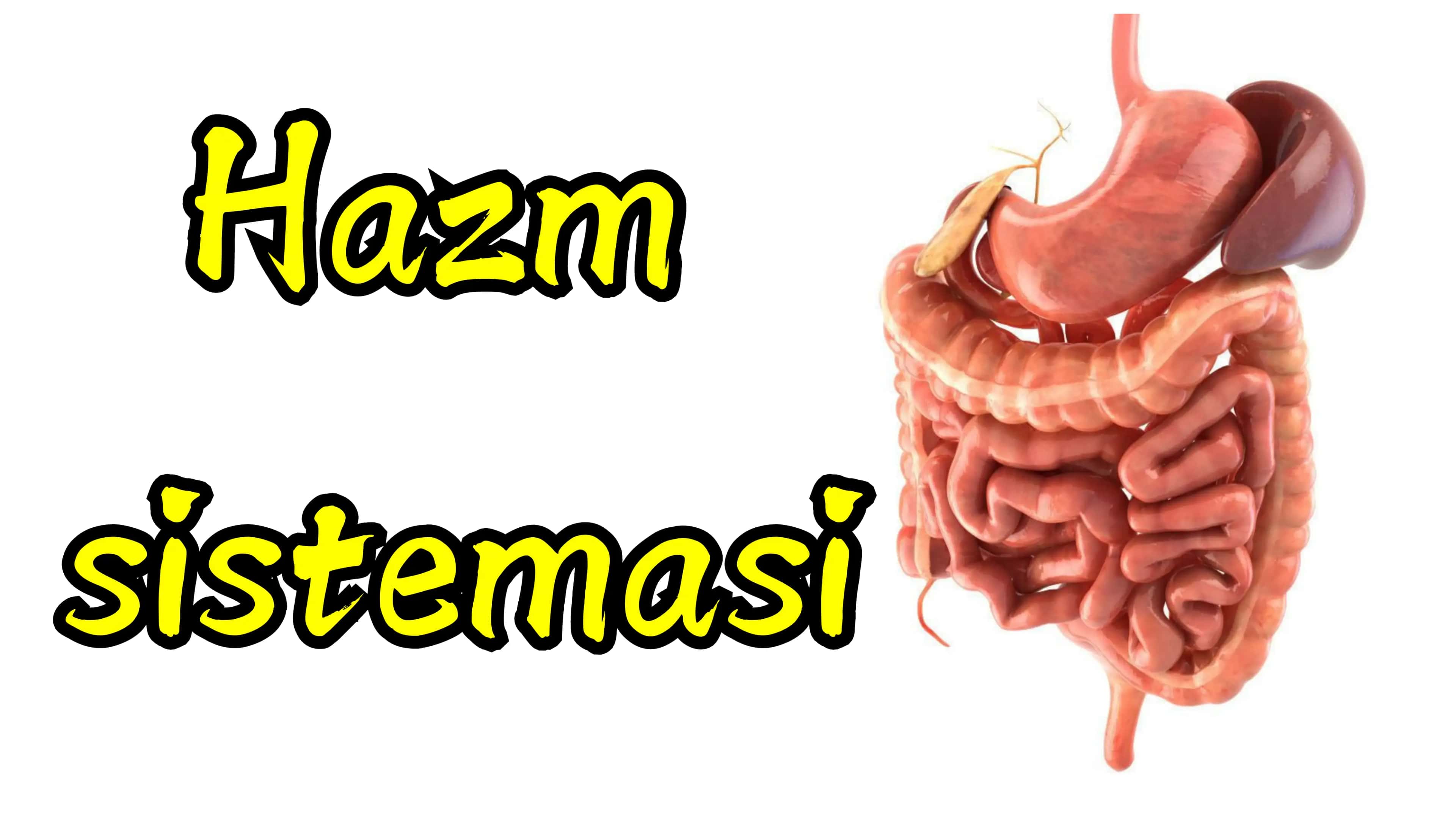Intensiv fiziologiya 2