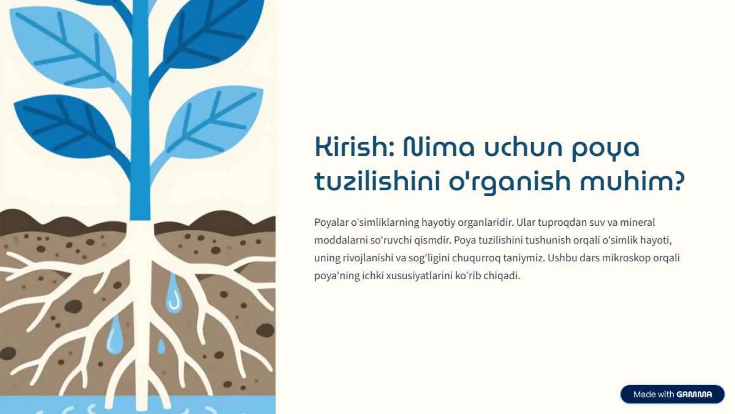 Poyaning Ichki Tuzilishi 2