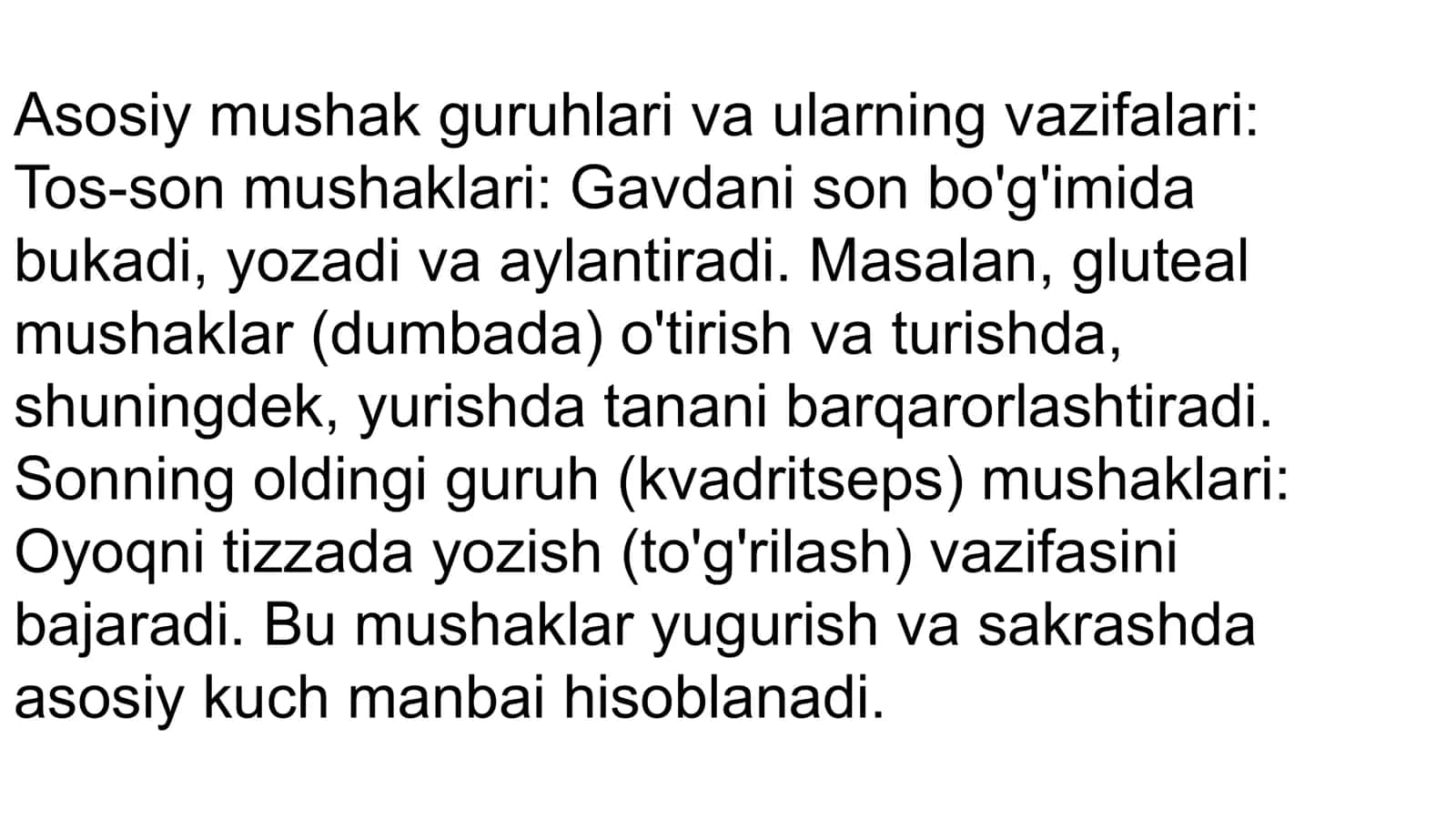 Oyoq mushaklari 2