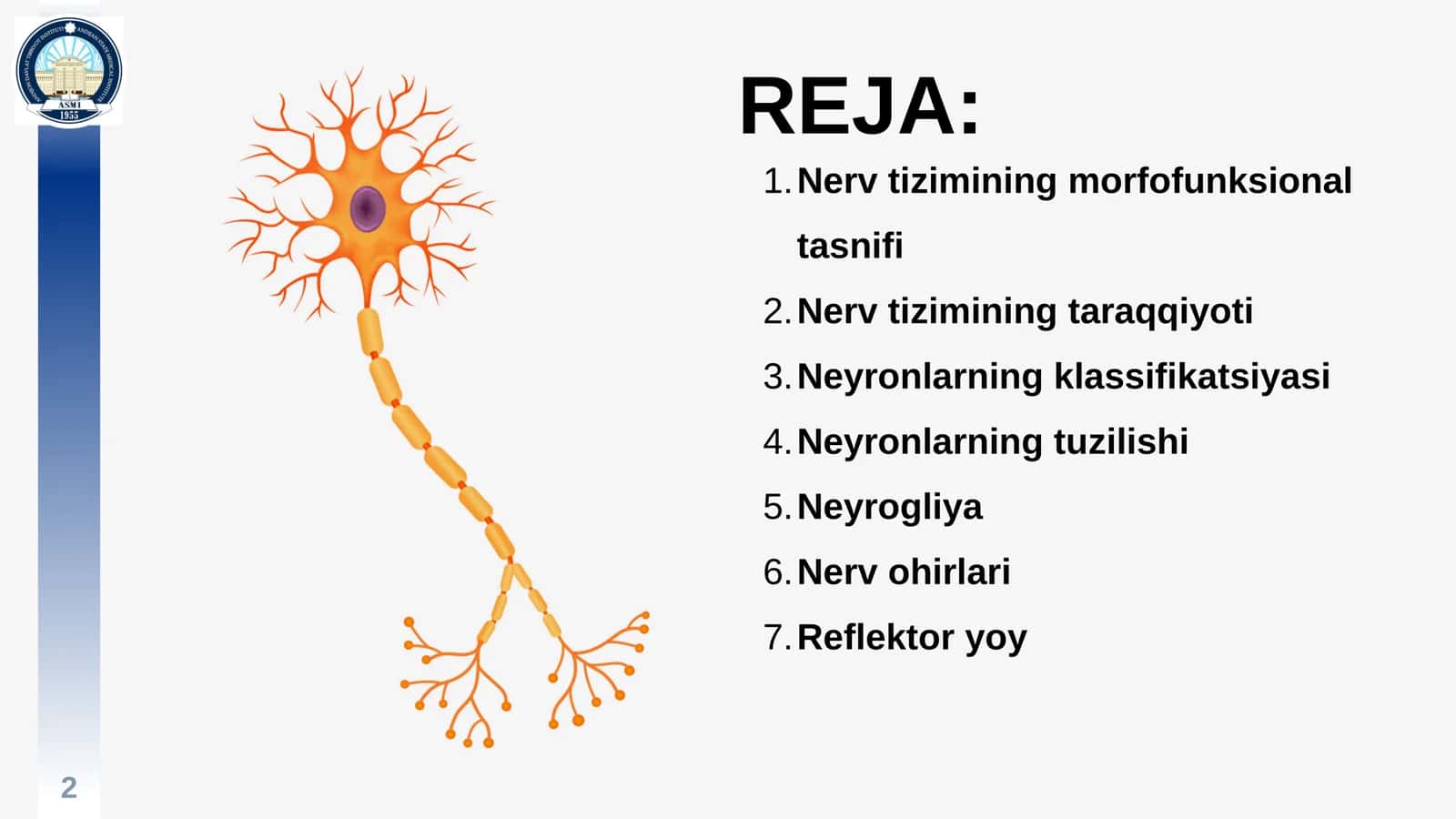 Nerv To'qimasi 2