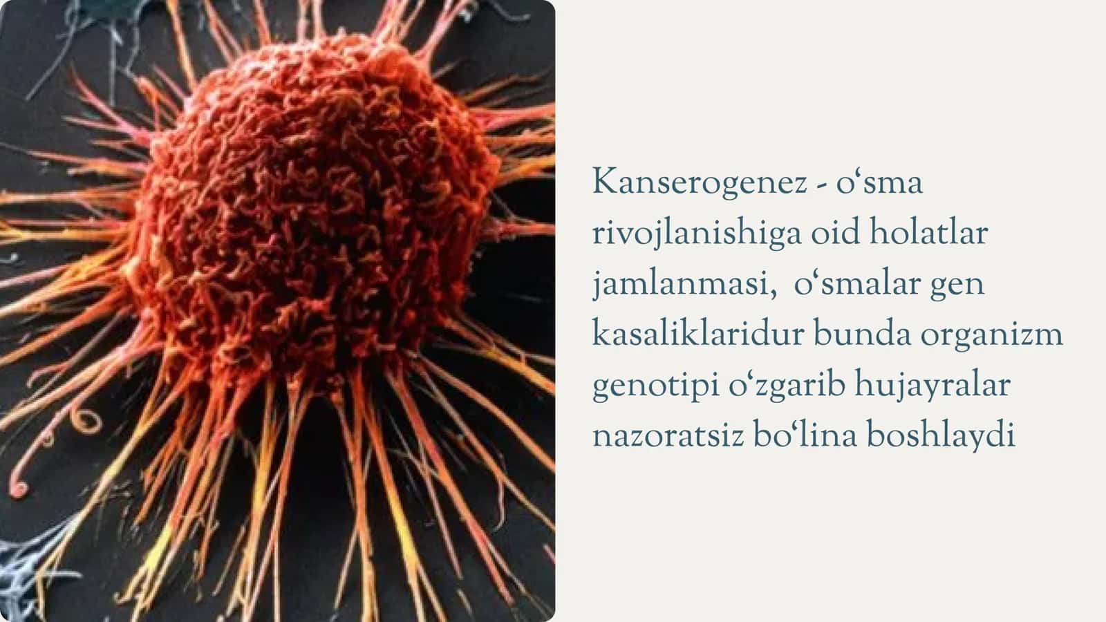 Onkogenez biokimyosi 2