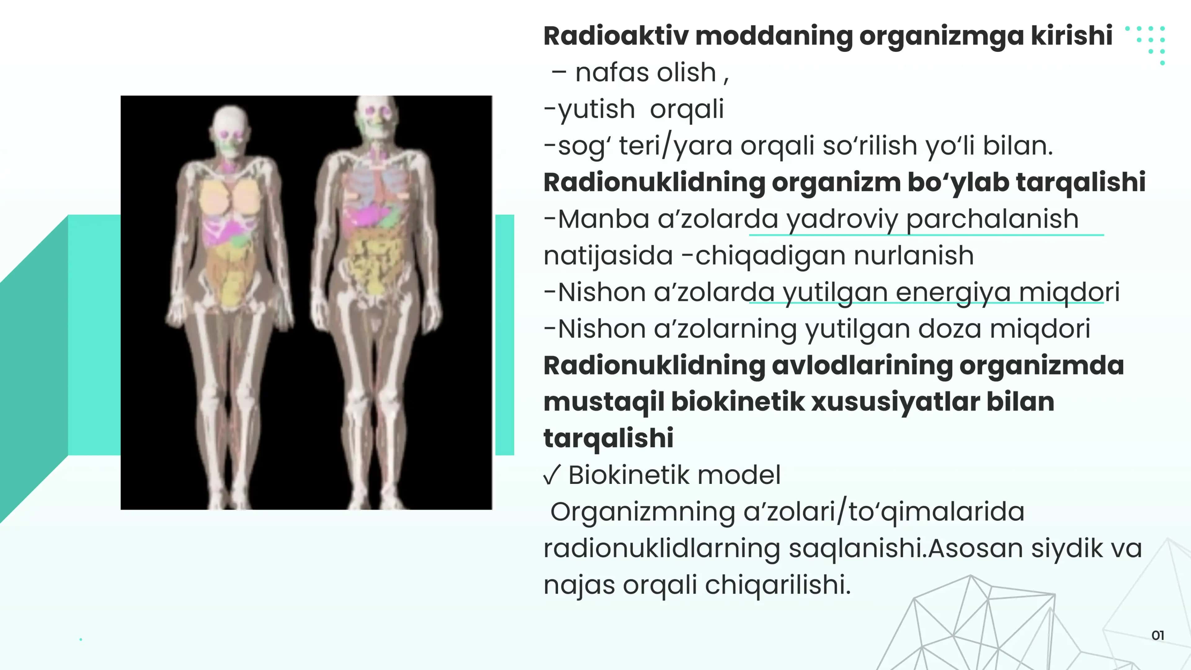 Inson a'zolarida radionuklidlarning kinetikasi 2