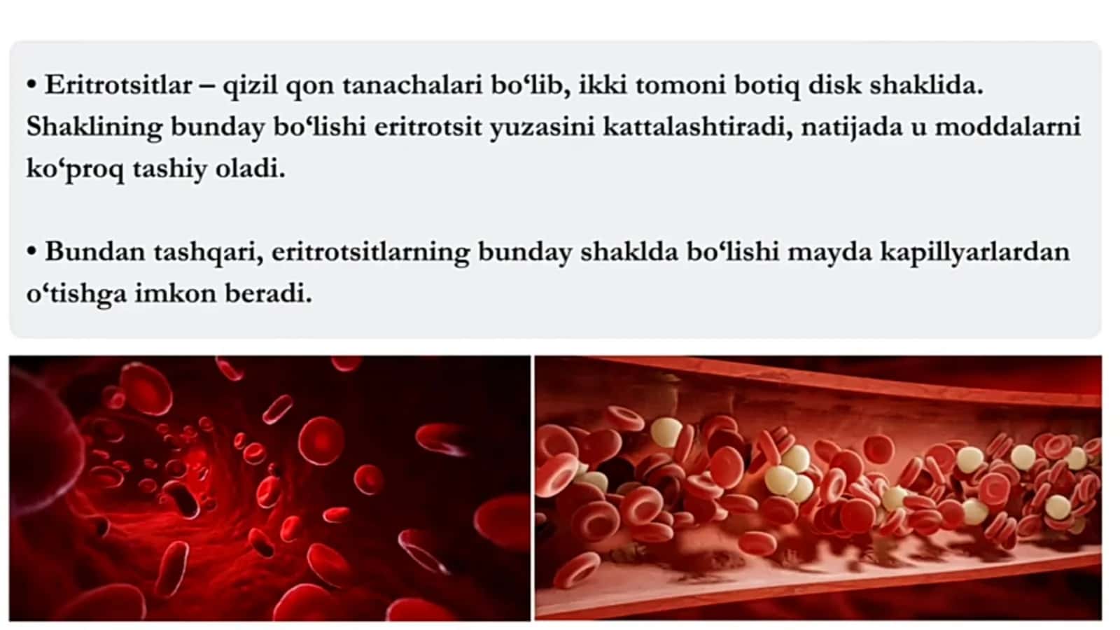 Eritrotsitlar fiziologiyasi 2