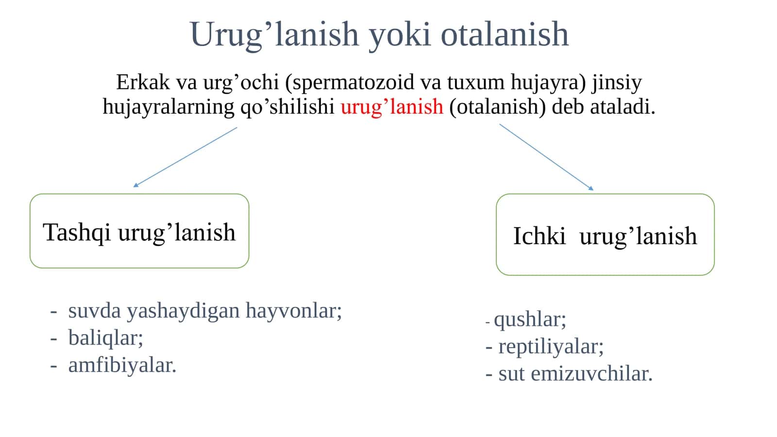 Urugʻlanish. Maydalanish. Implantatsiya 2