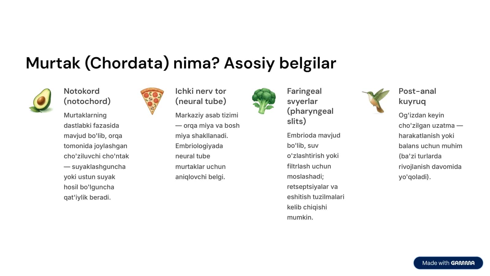Murtak (Chordata) 2