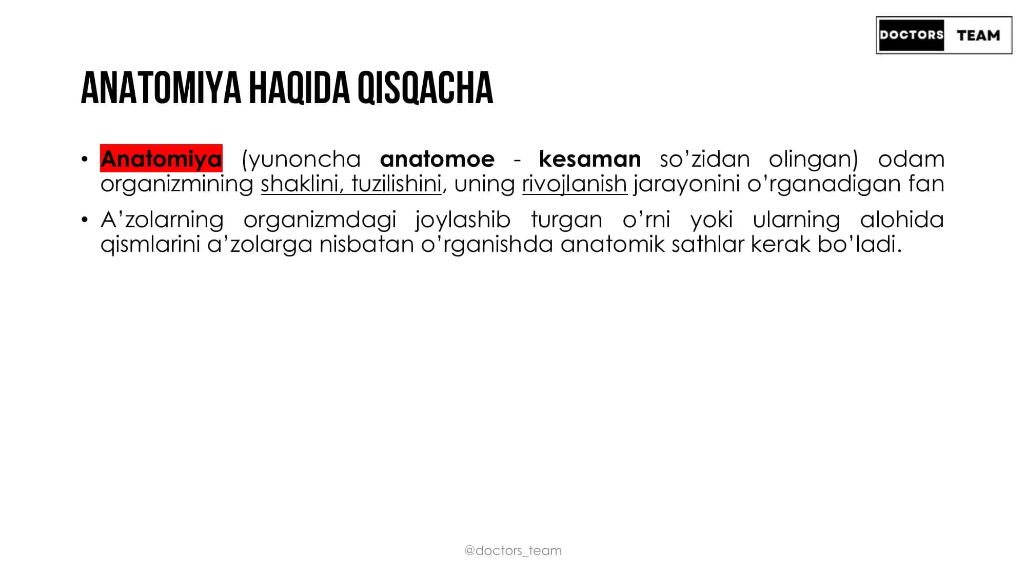 Anatomiyada 3 ta sath mavjud 2