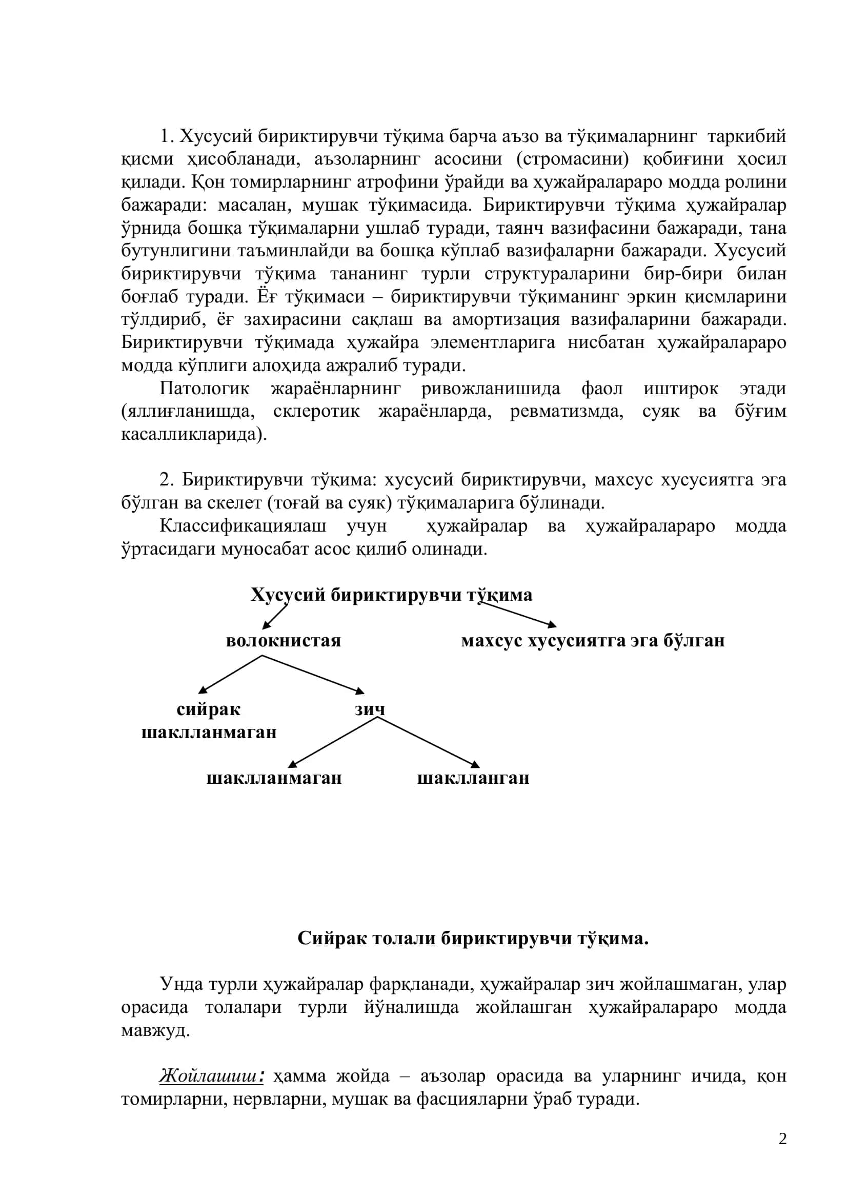 Гистология 2