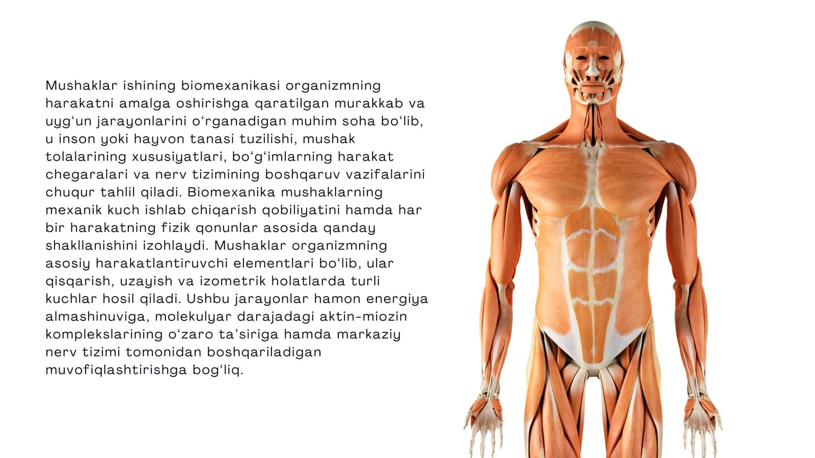 Mushaklar ishining biomexanikasi 2