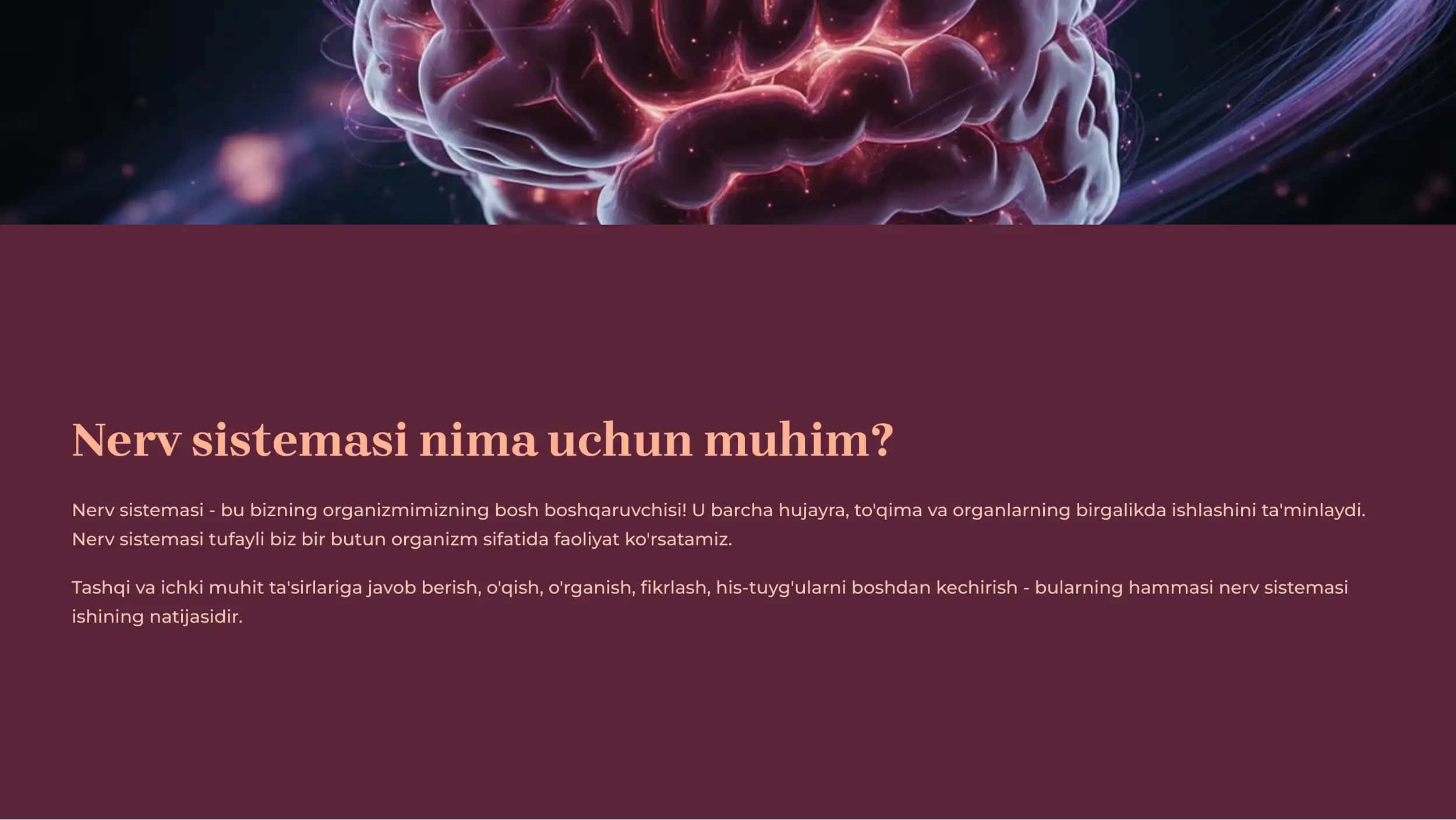 Nerv Sistemasining Tuzilishi 2
