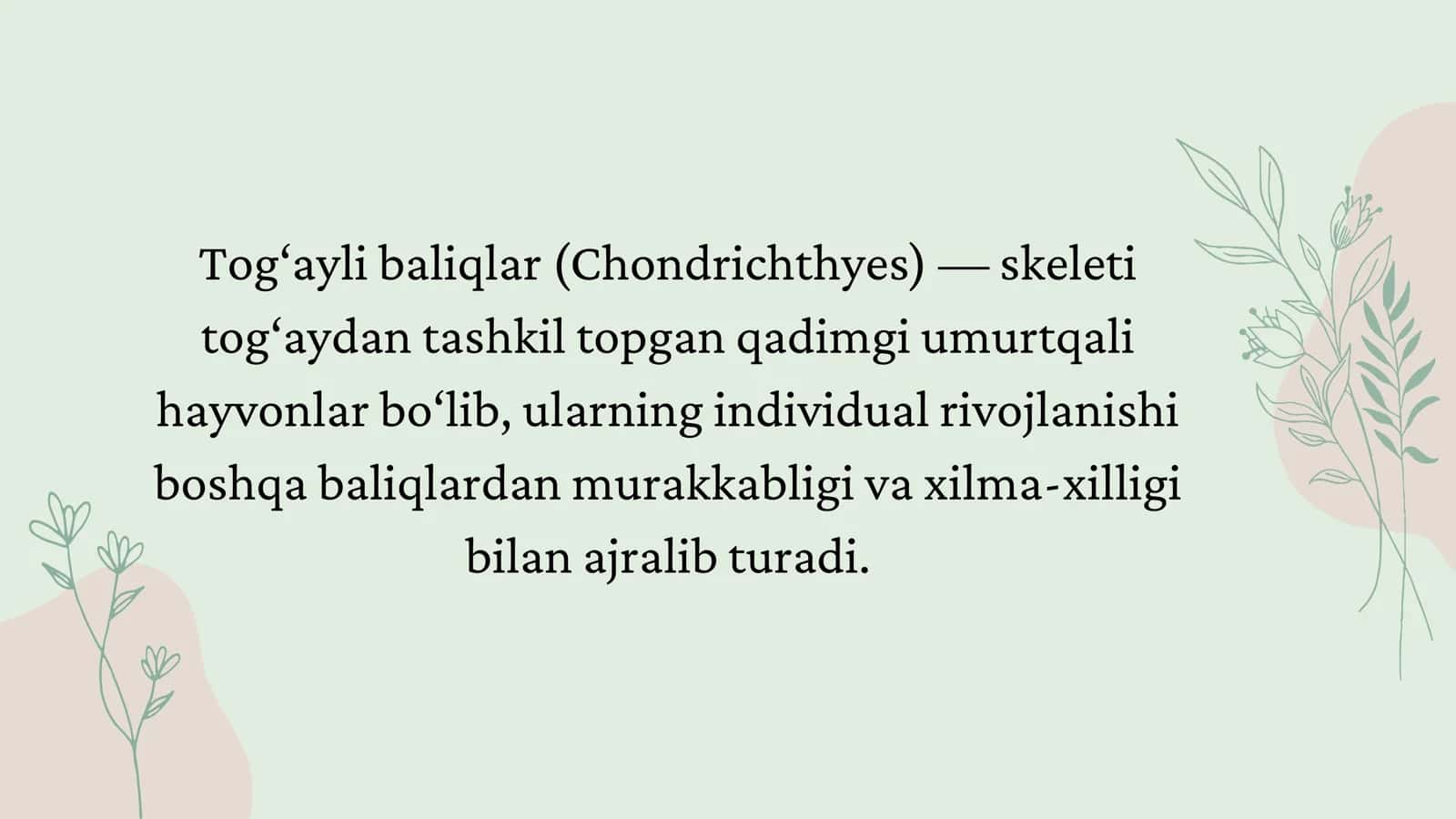 Tog'ayli baliqlarning individual rivojlanishi 2
