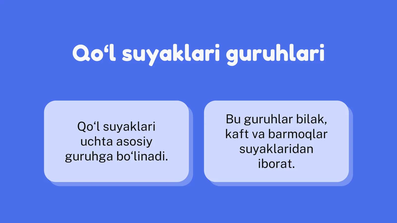 Qo‘l suyaklarining umumiy tuzilishi 2