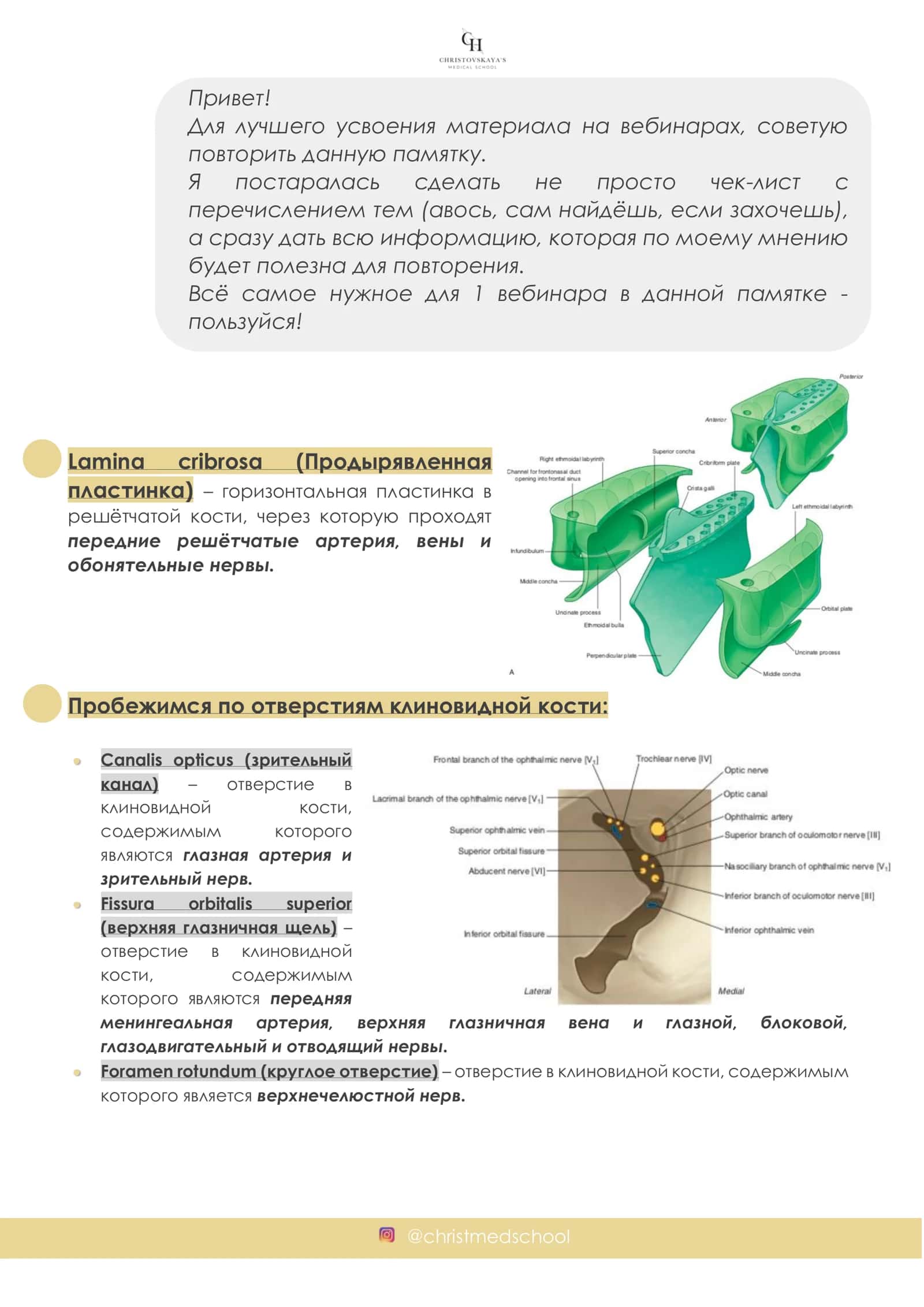 ИНТЕНСИВ ПО ПЕРИФЕРИЧЕСКОЙ НЕРВНОЙ СИСТЕМЕ 2