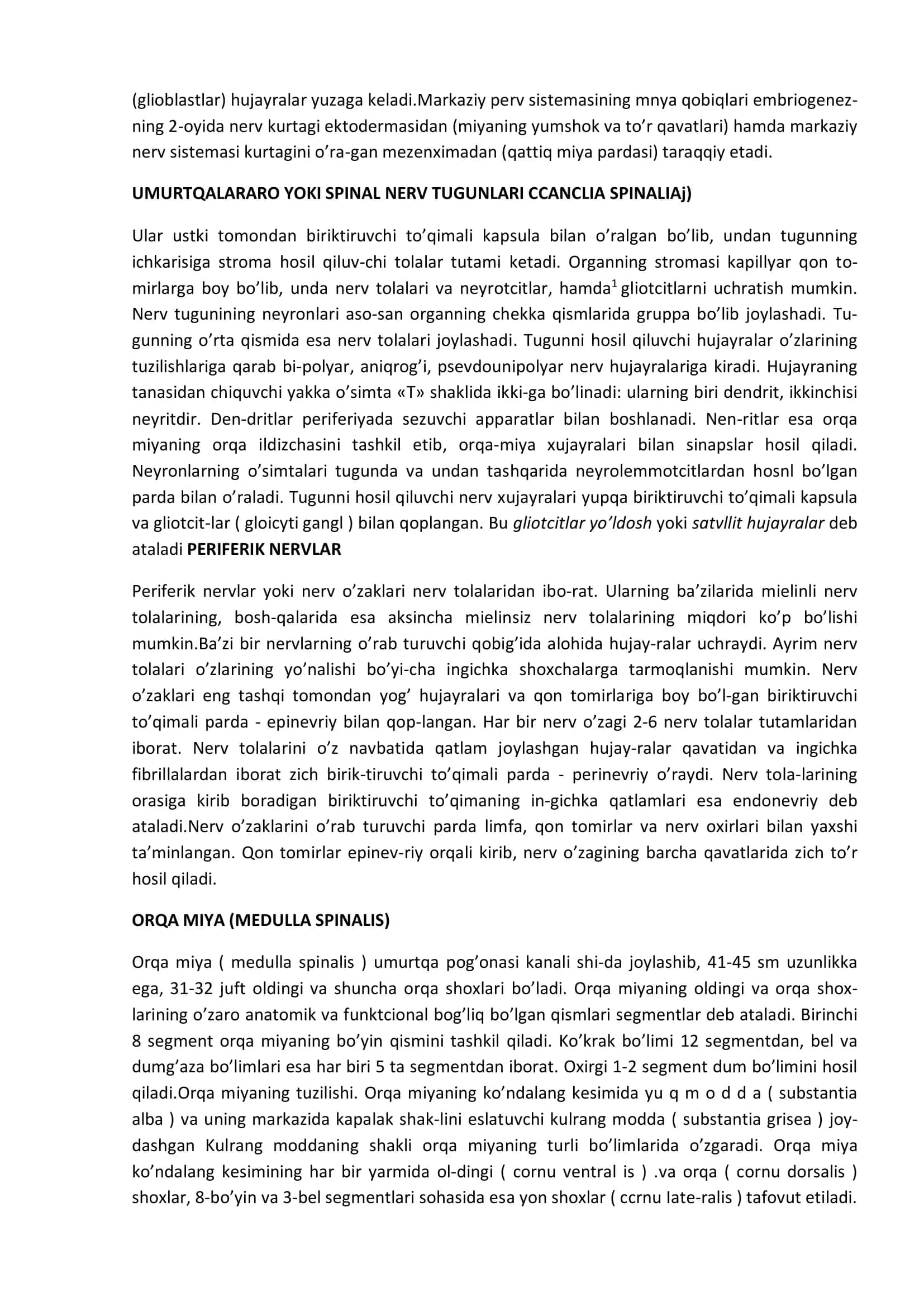 NERV SISTEMASI (SYSTEMA NERVOSUM) 2