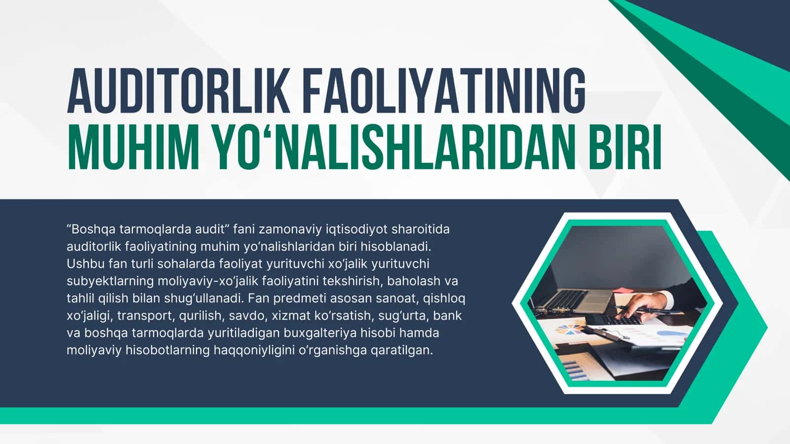 Boshqa tarmoqlarda audit 2