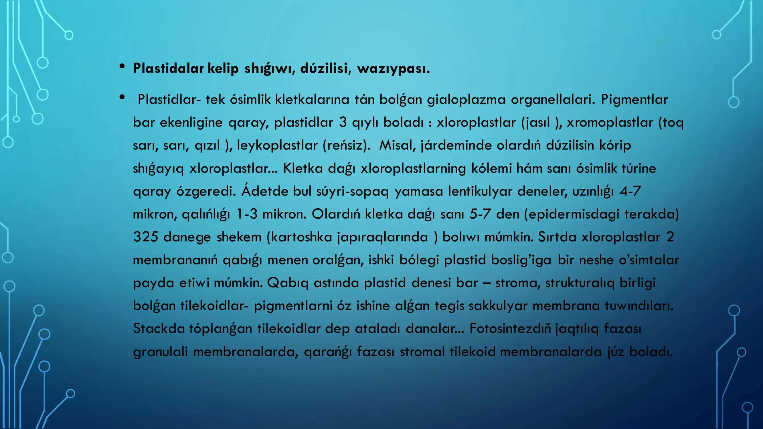 PLASTIDALAR 2