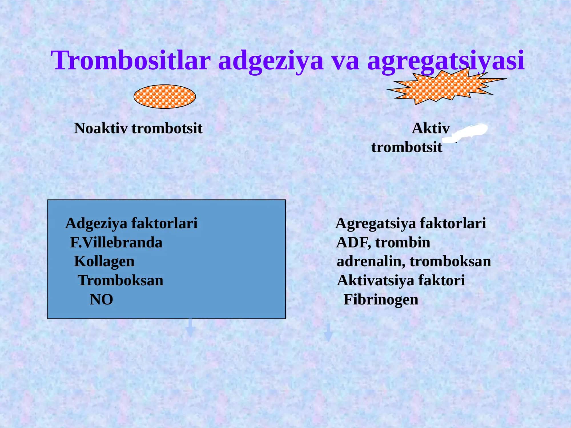 Gemostaz va fibrinoliz 2
