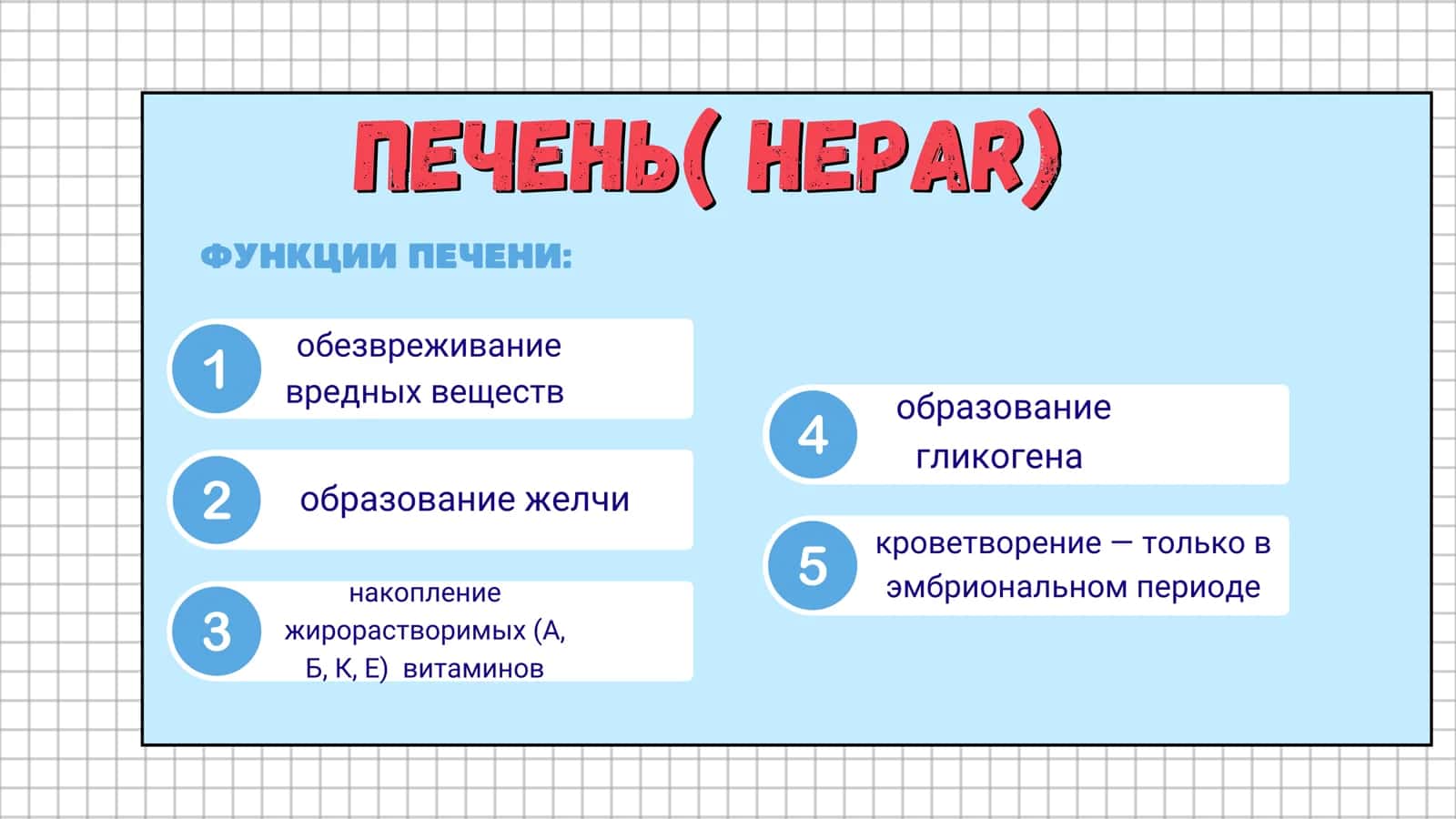 ПЕЧЕНЬ( HEPAR) 2