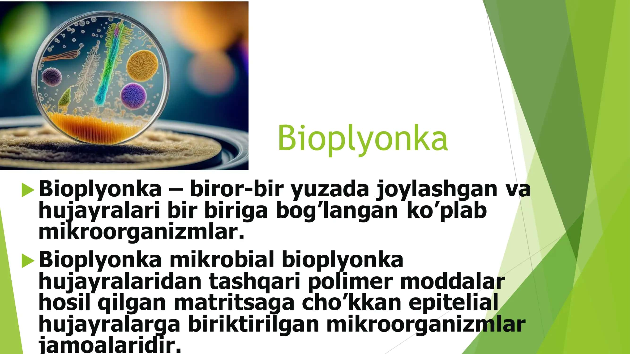 Bioplyonka 2