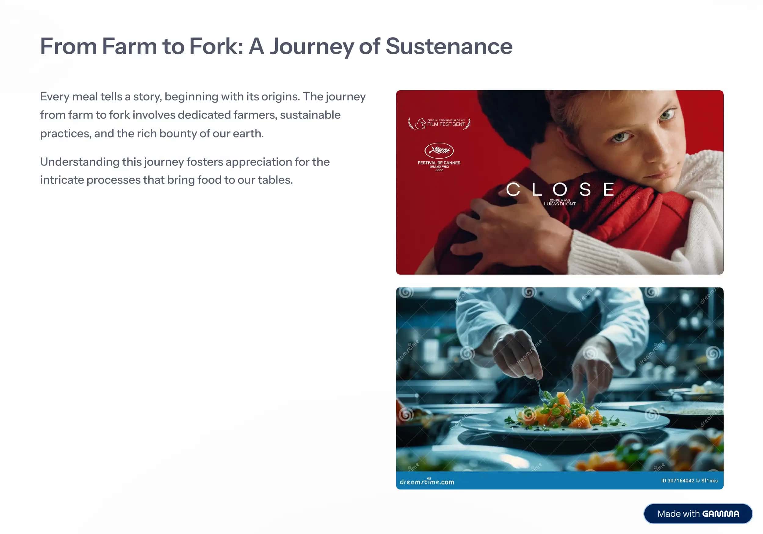 Food: Our Universal Language 2
