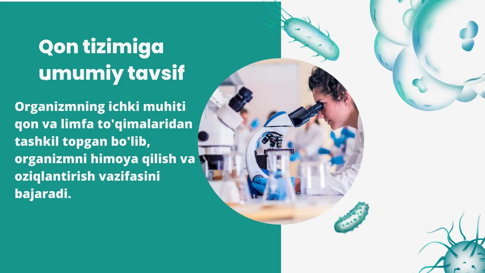 Qon fiziologiyasi 2