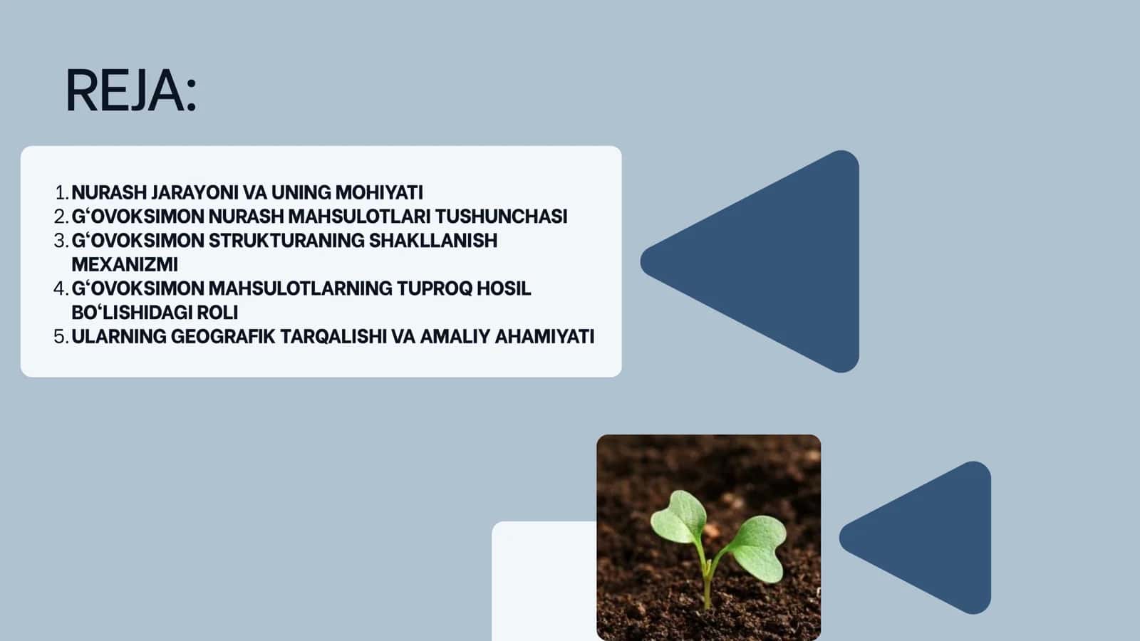 TUPROQ HOSIL QILUVCHI G‘OVOKSIMON NURASH MAHSULOTLARI 2
