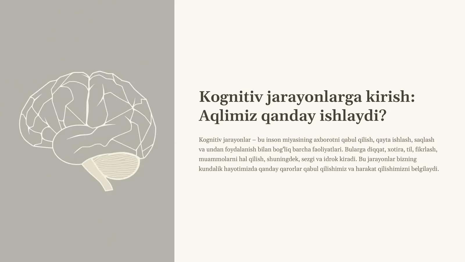 Kognitiv jarayonlar Sezgi va idrok haqida tushuncha 2
