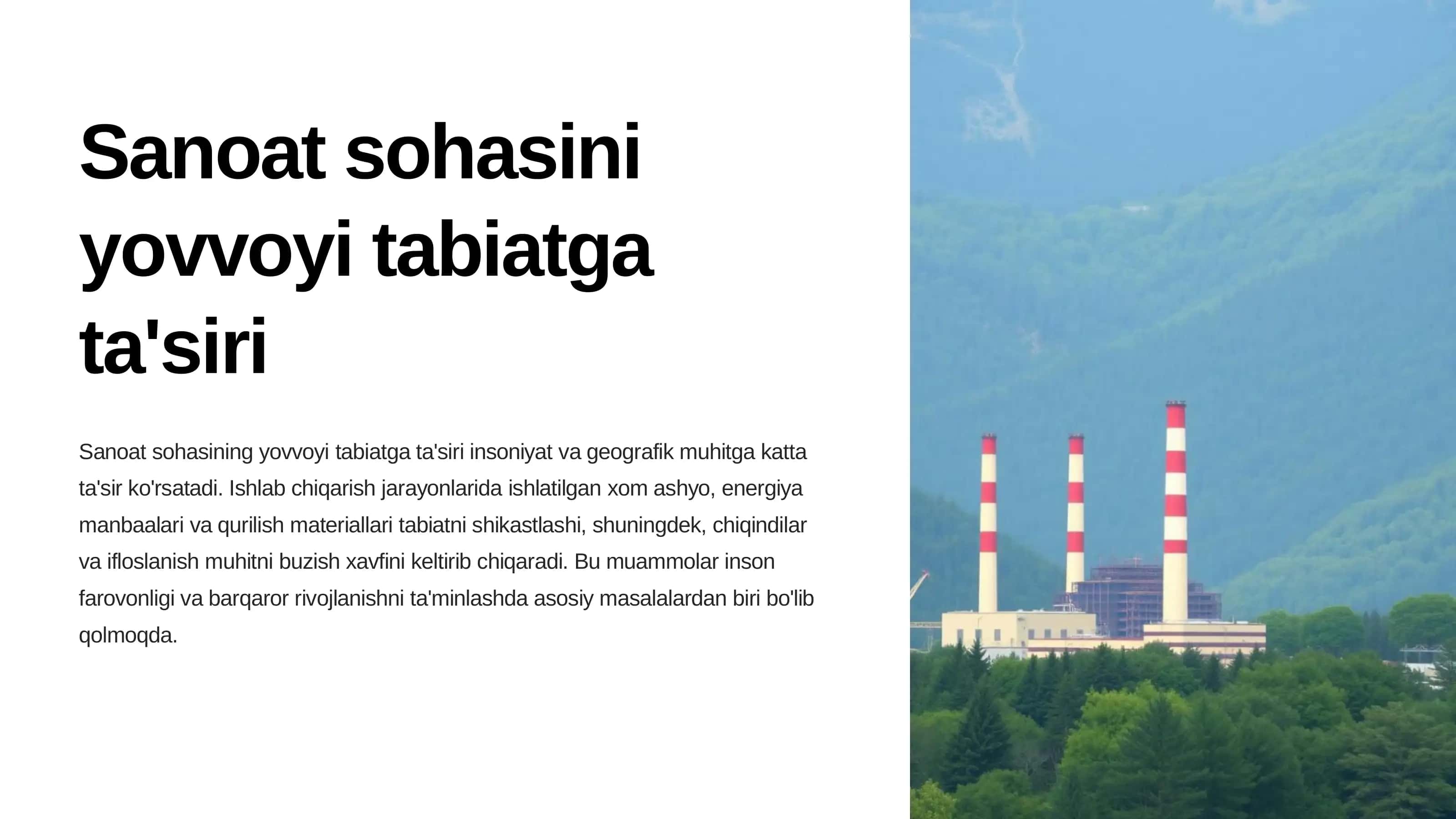 Sanoat sohasini yovvoyi tabiatga ta'siri 2
