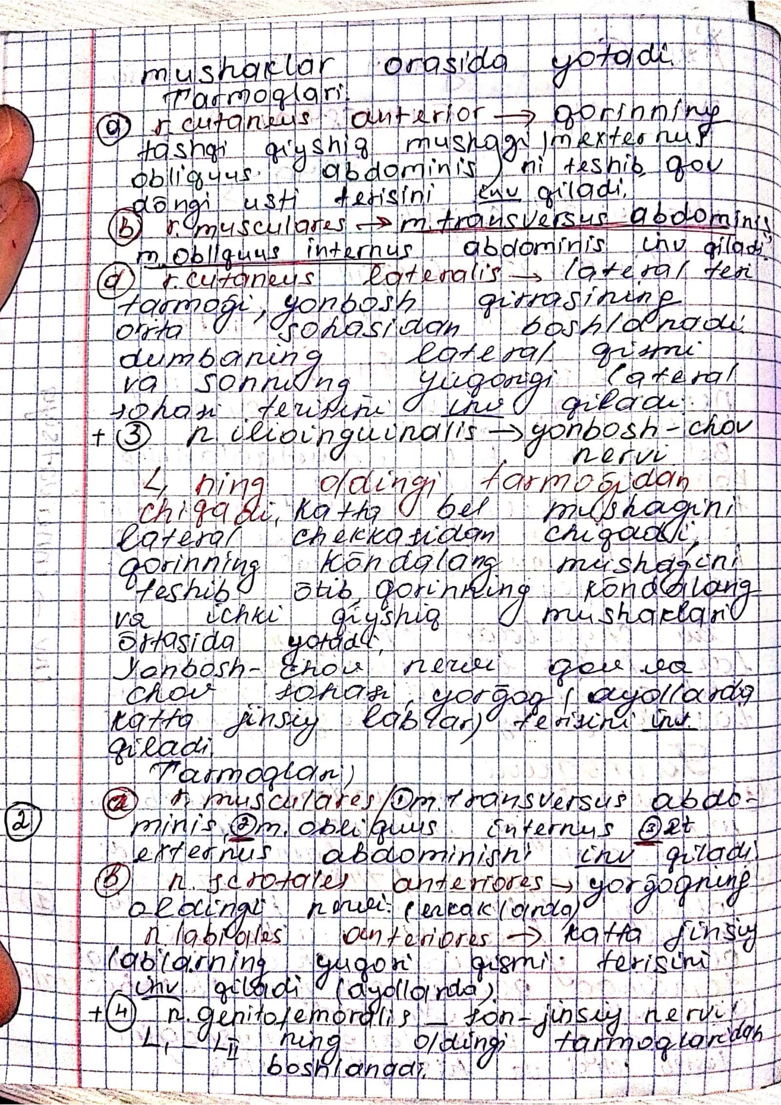 Bel va dumgʻaza chigali 2