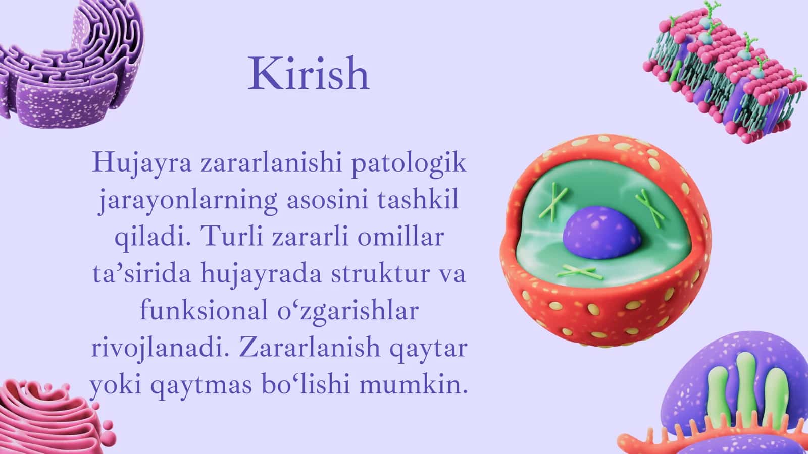 Hujayra qaytar va qaytmas zararlanishi 2