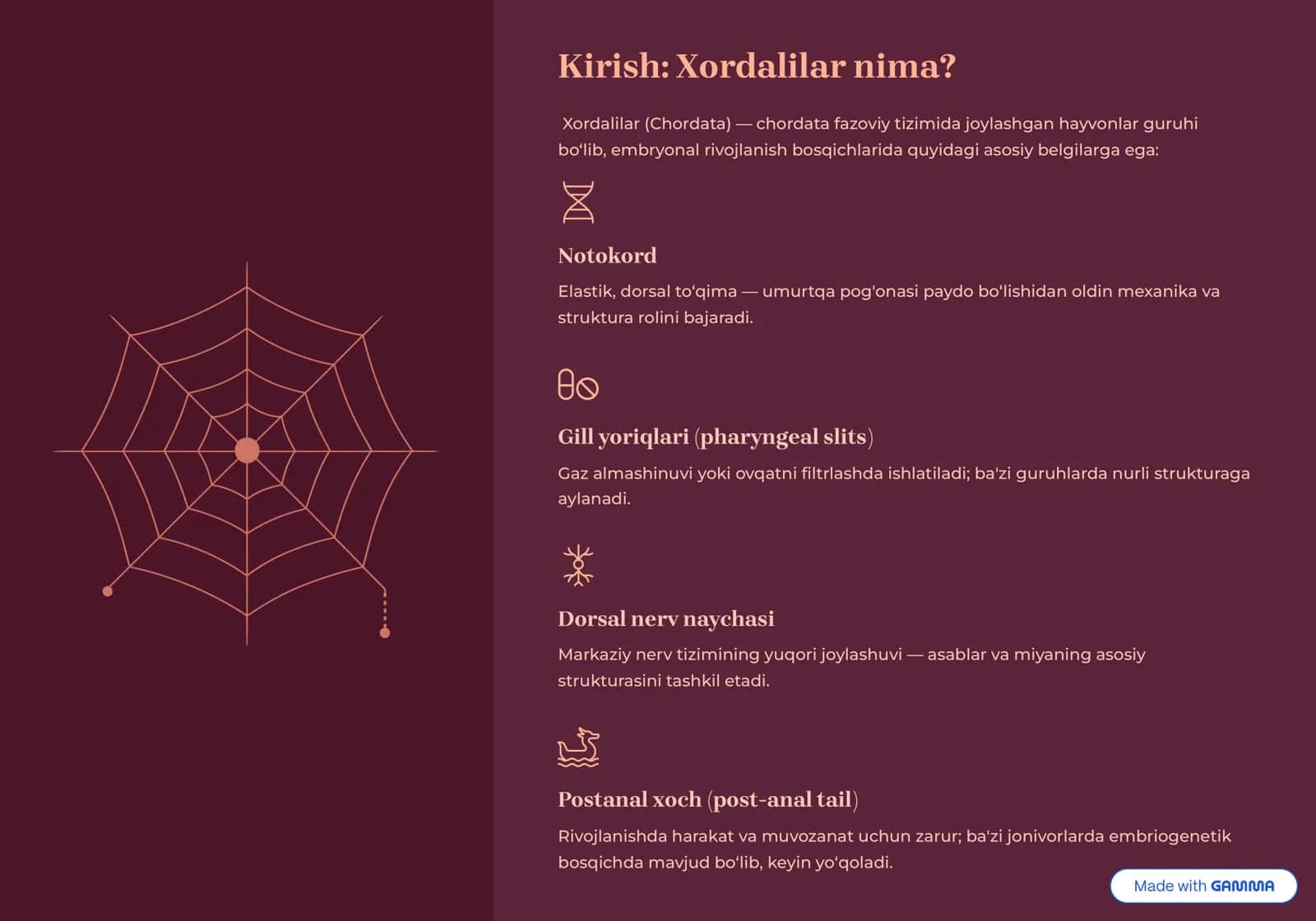 Xordalilar (Chordata) va ularning 2