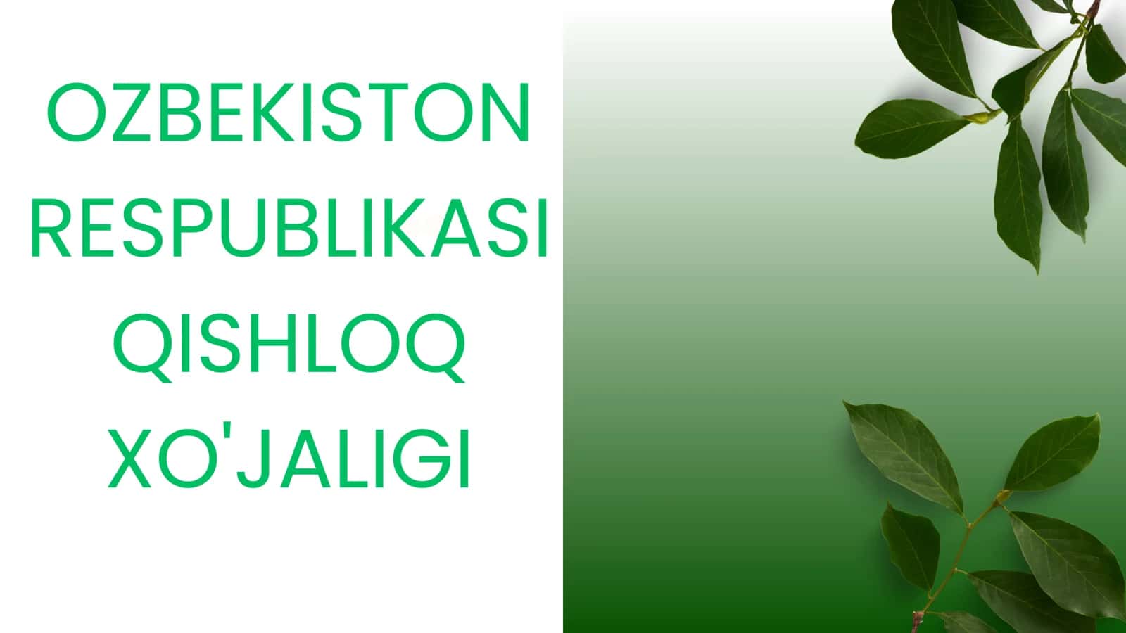 GEOGRAFIYA VA IQTISOD YONALISHI 3 KURS 2