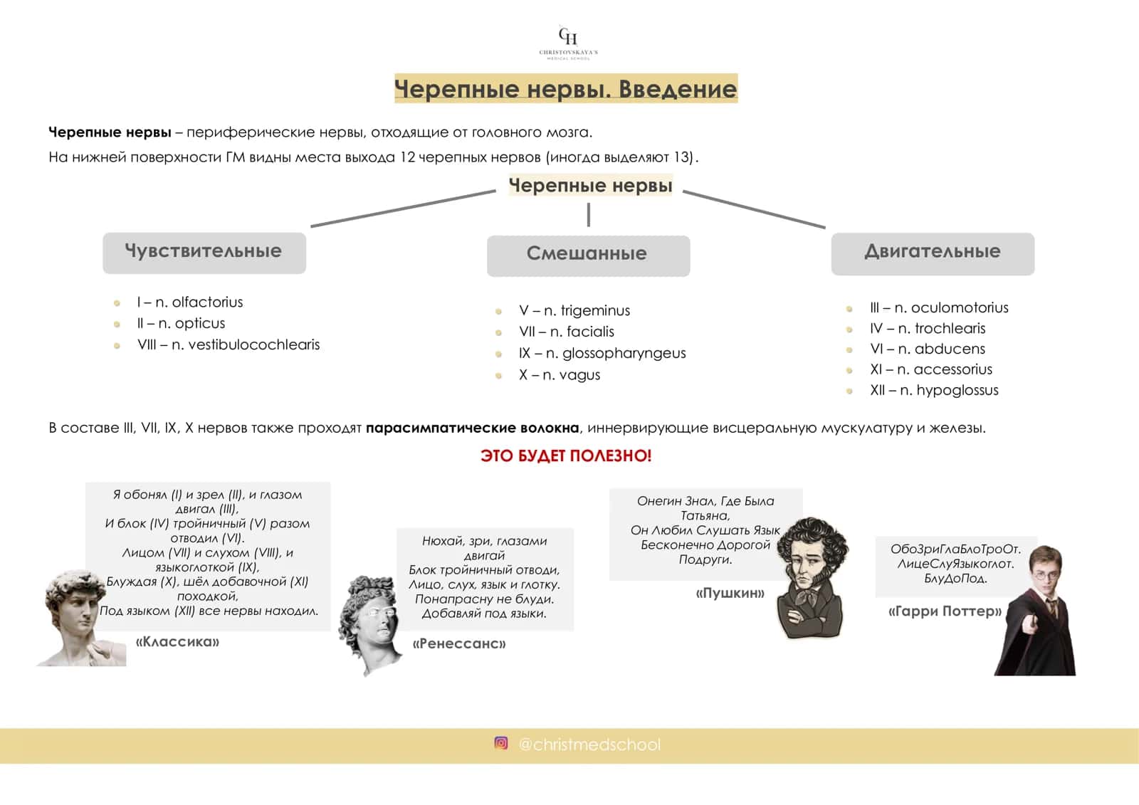 ИНТЕНСИВ ПО ПЕРИФЕРИЧЕСКОЙ НЕРВНОЙ СИСТЕМЕ 2