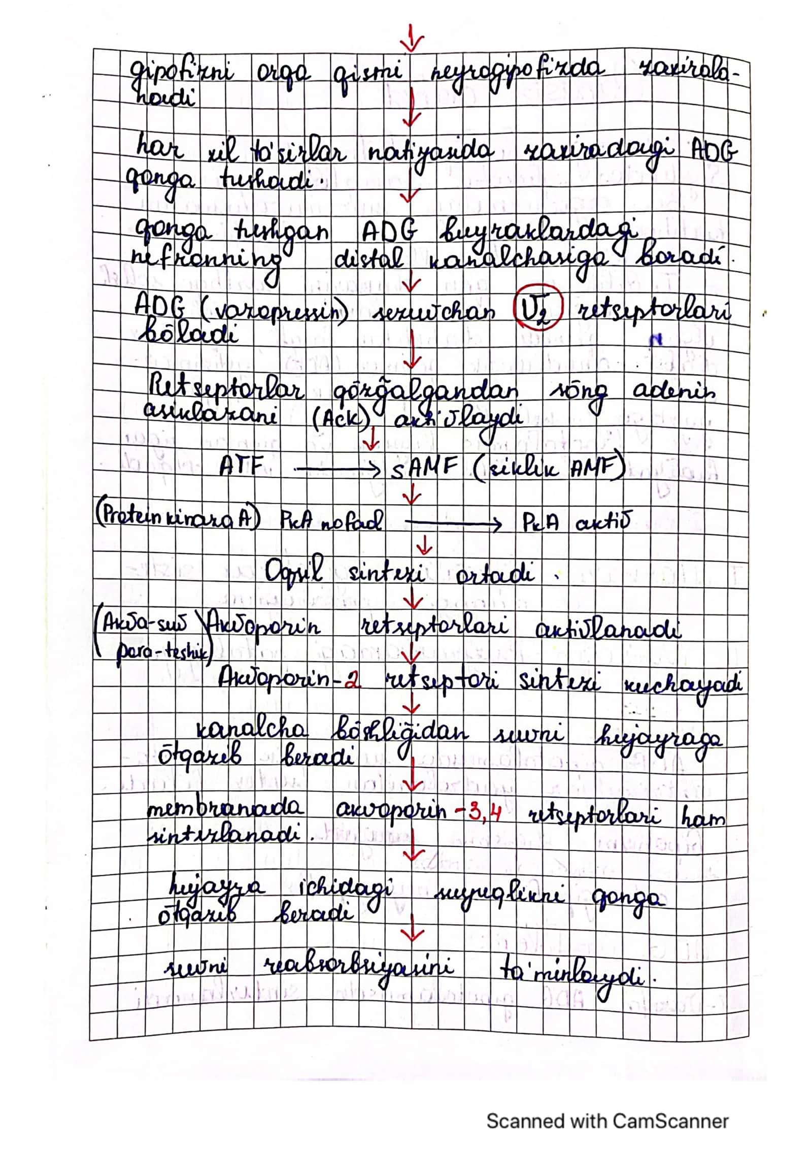 Qandsiz diabet 2