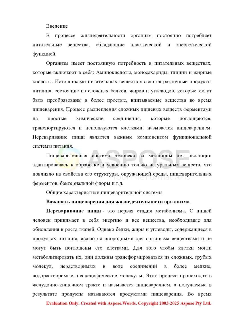 Пищеварение молодого организма 2