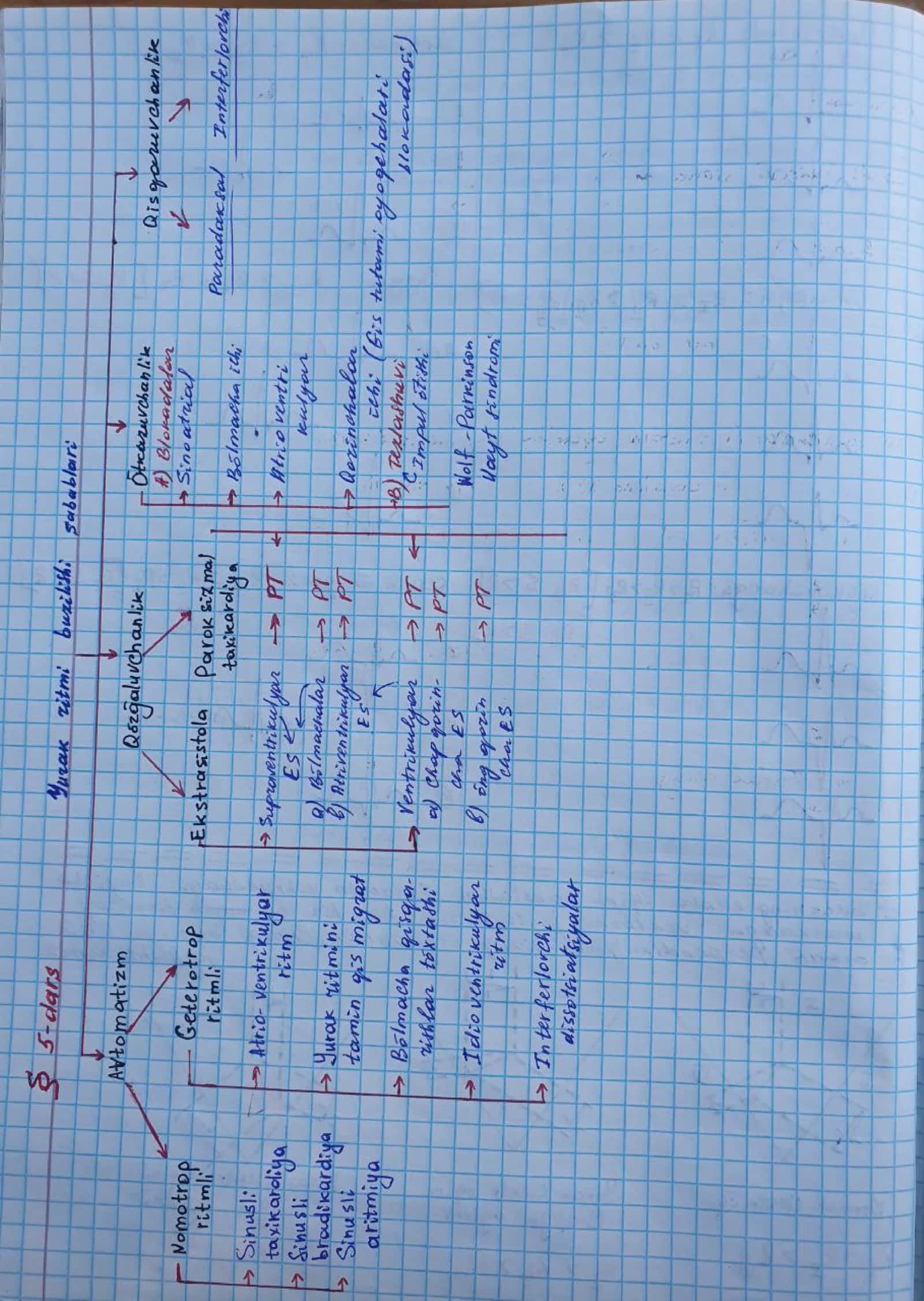 Yurak blokadalari 2