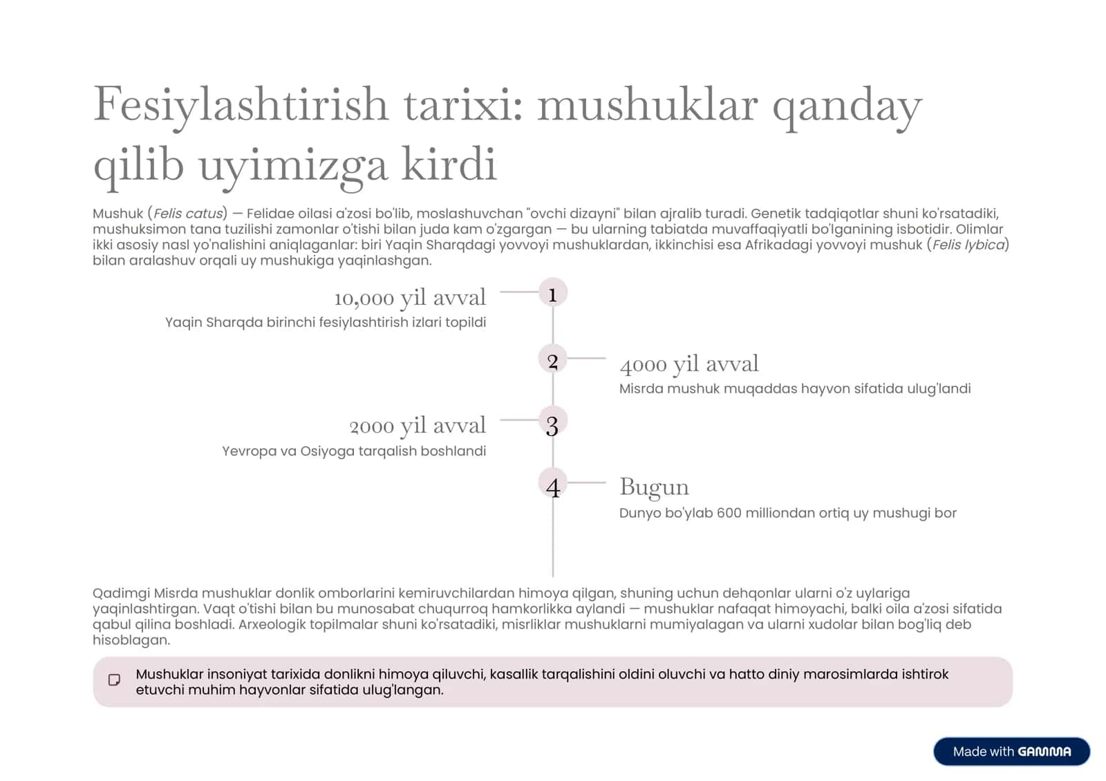 Mushuklar haqida to‘liq qo‘llanma 2