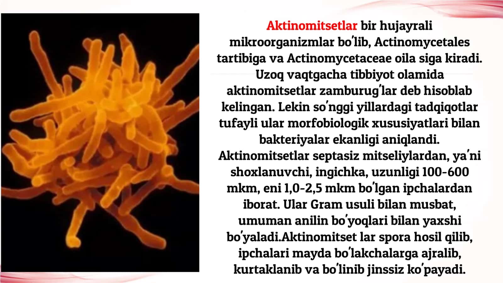 Mikoz kasalliklar: aktinomikozlar. Kasallik labaratoriya diagnostika. 2