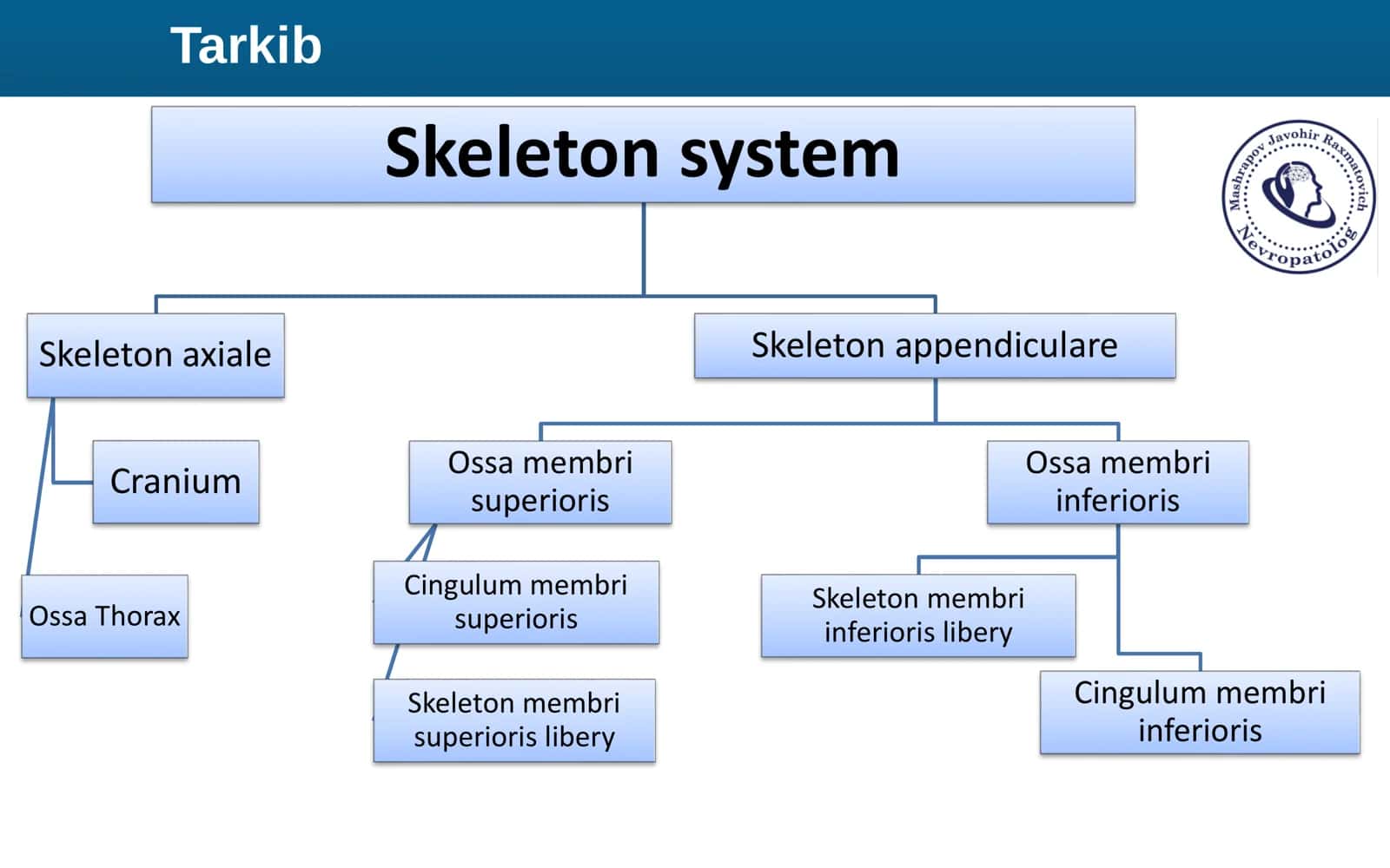Osteologiya Dars 3 2