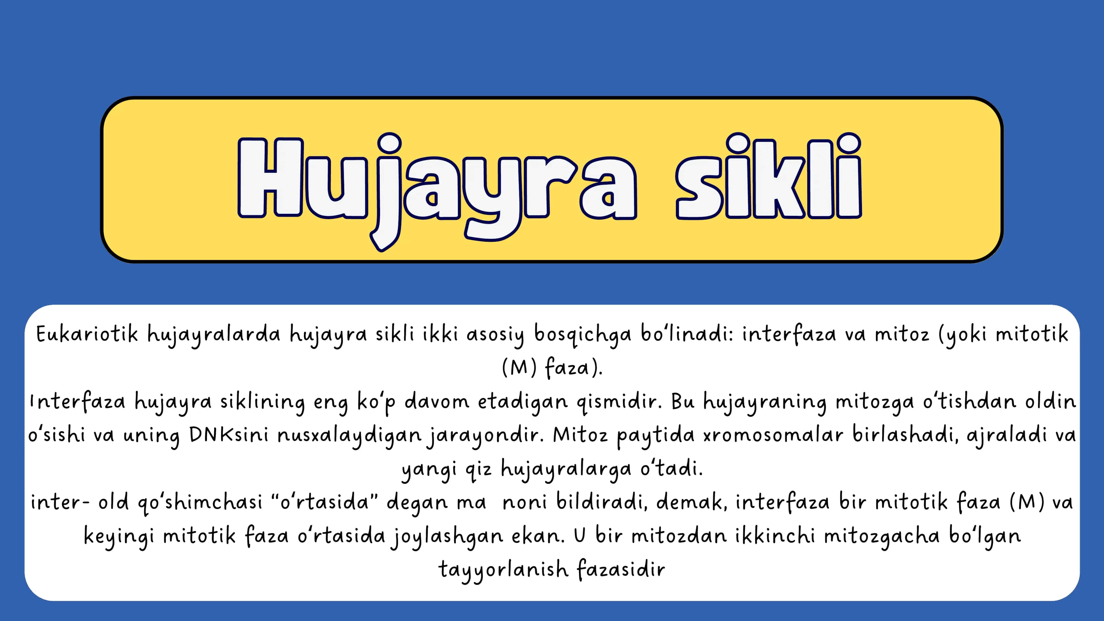 Hujayra sikli 2