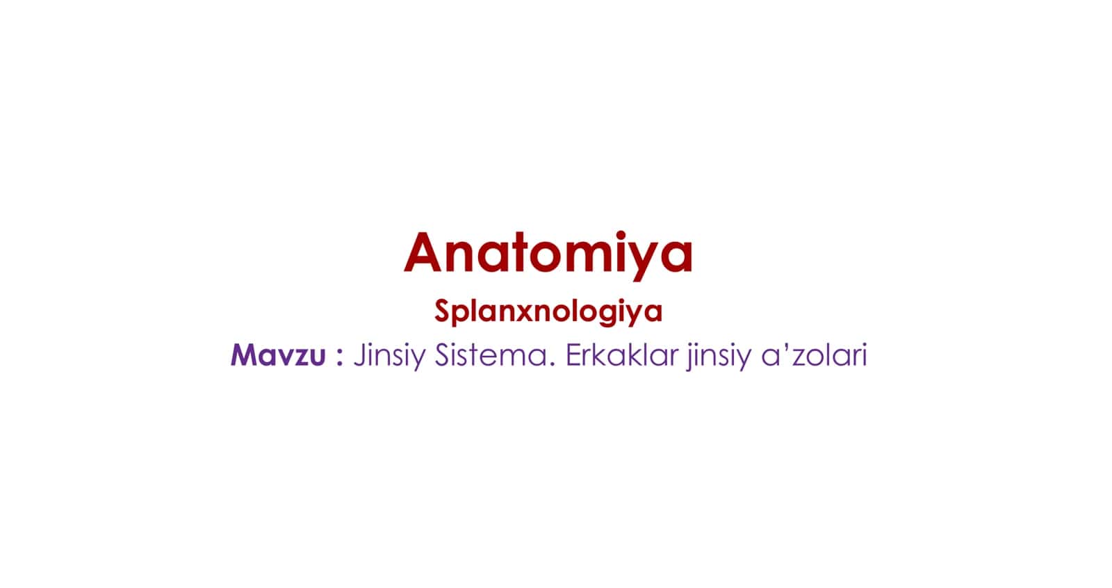 Erkaklar jinsiy sistemasi 2