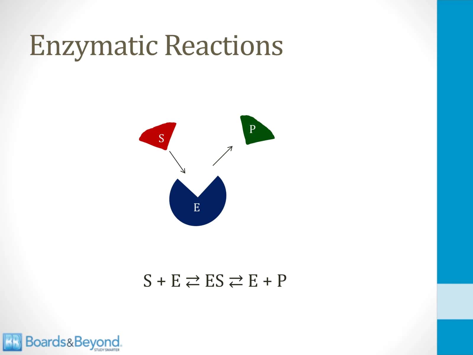 Enzymes 2