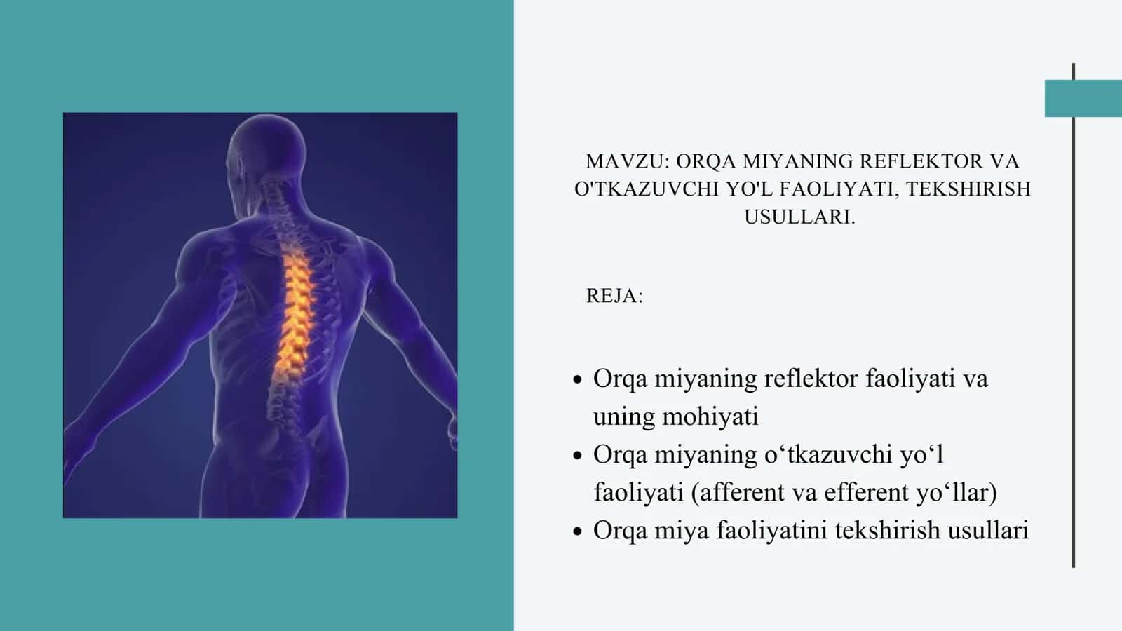 ORQA MIYANING REFLEKTOR VA O'TKAZUVCHI YO'L FAOLIYATI, TEKSHIRISH USULLARI 2
