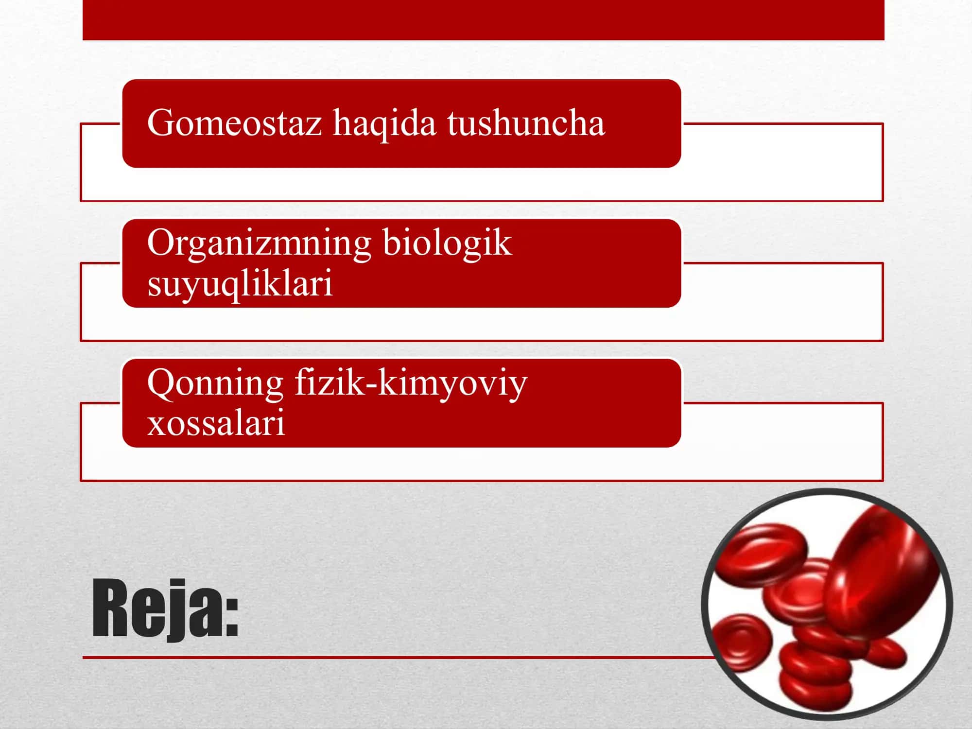 Gomeostaz haqida tushuncha 2