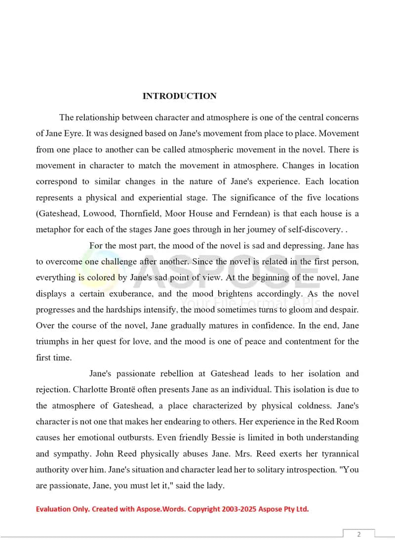 Social rejection in the novel “Jane Eyre” by Charlotte Bronte 2