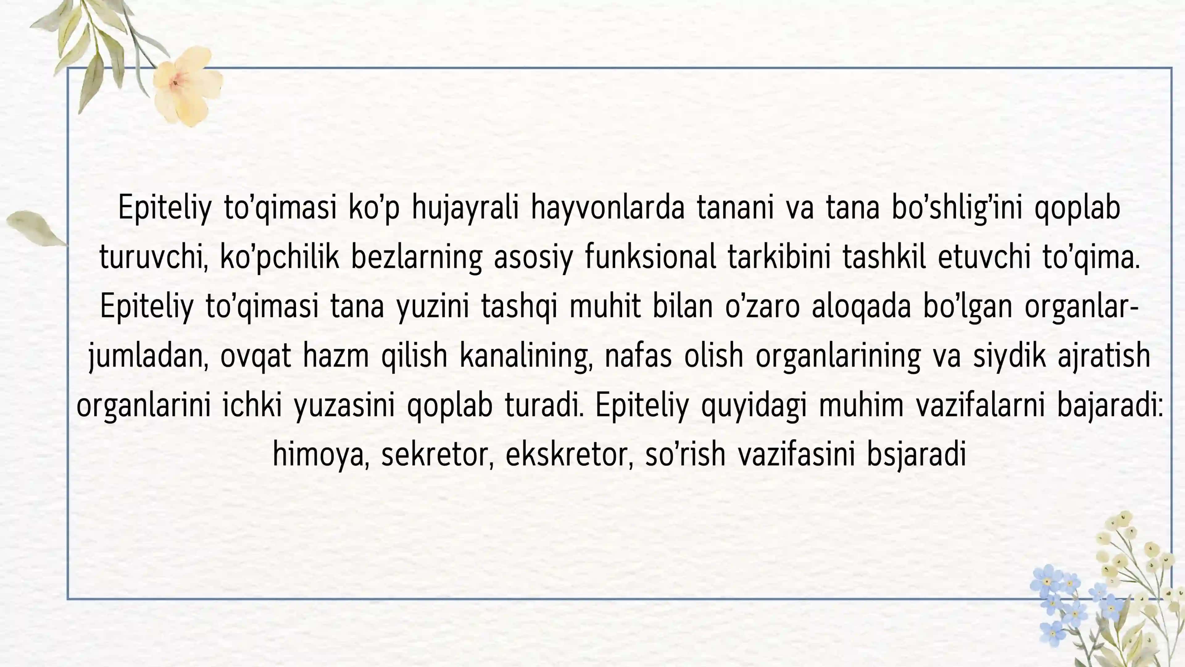 Epiteliy to'qimasi. Ko'p qavatli epitiley. 2